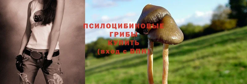 купить  цена  Ялуторовск  hydra онион  Псилоцибиновые грибы Cubensis 